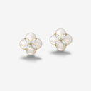 Persimmon Earrings/Clips