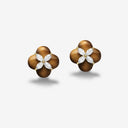 Persimmon Earrings/Clips