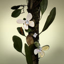 Butterfly Earrings/Clips