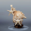 Twinkle Starfish Earrings