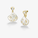 Starry Shell Earrings/Clips