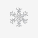 Snowflake Collection