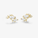 Fish Studs