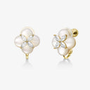 Persimmon Earrings/Clips